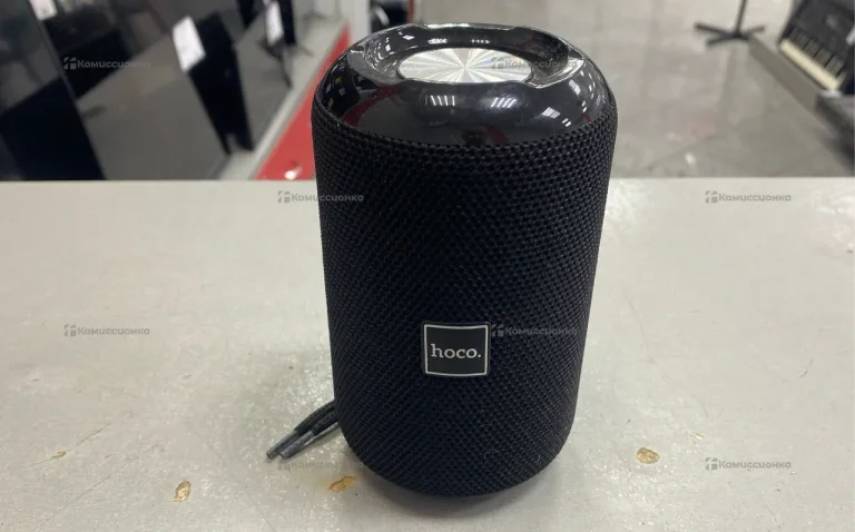 Колонка портативная T&G