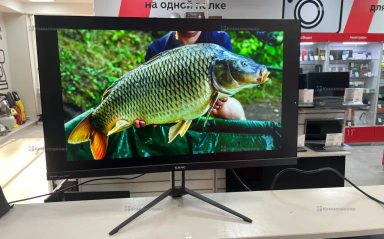 Монитор SANC N70Pro II