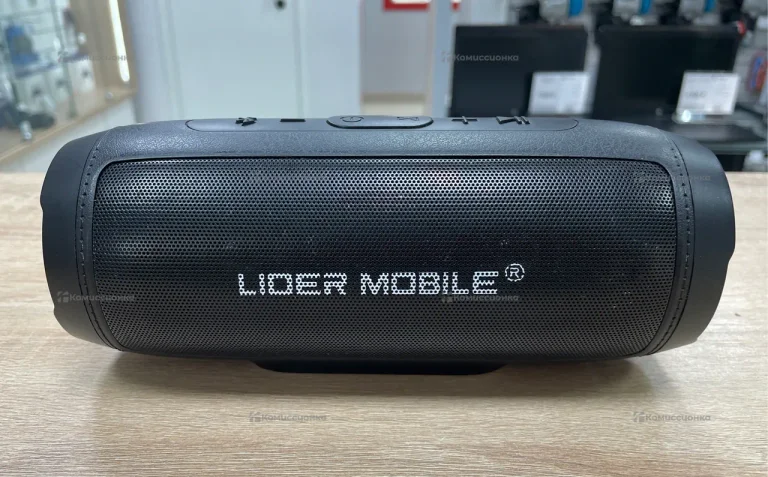 Портативная колонка Lider Mobile L1000
