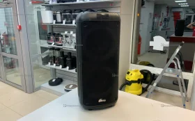 Колонка  Ritmix SP-875B