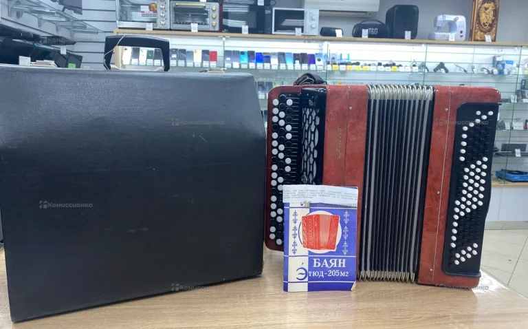 Баян этюд 205м2