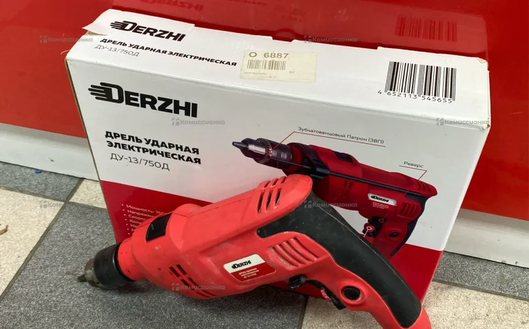 дрель ударная электрическая DERZHI ду-13/750д