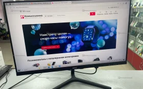 Монитор SANC M2453