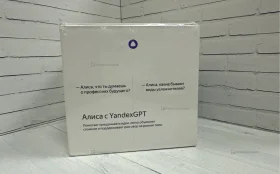 Купить Колонка  Яндекс станция мини про б/у , в Москва и область Цена:7900рублей