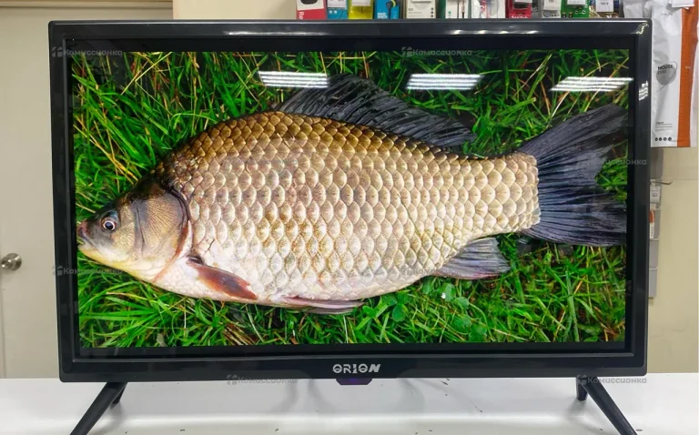 Телевизор Orion 24’’ smart
