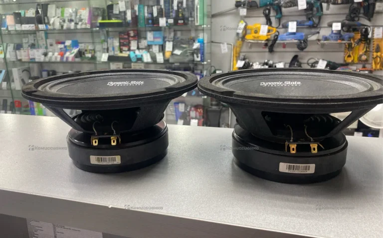 Колонки Dynamic State PM-200.1