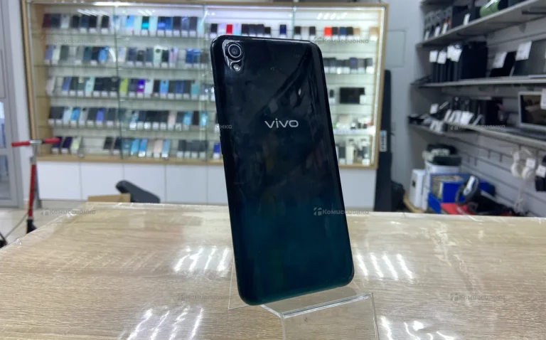 Vivo Vivo 2015