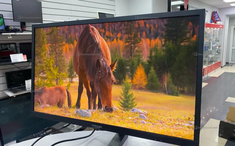 Монитор Samsung LS25HG50FQIXCI