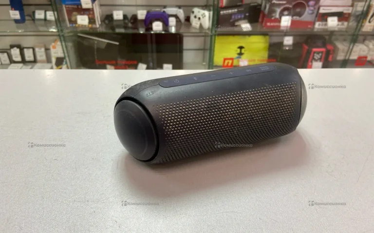 Колонка LG XBoom Go PL5