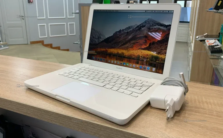 Ноутбук Apple MacBook (2010)
