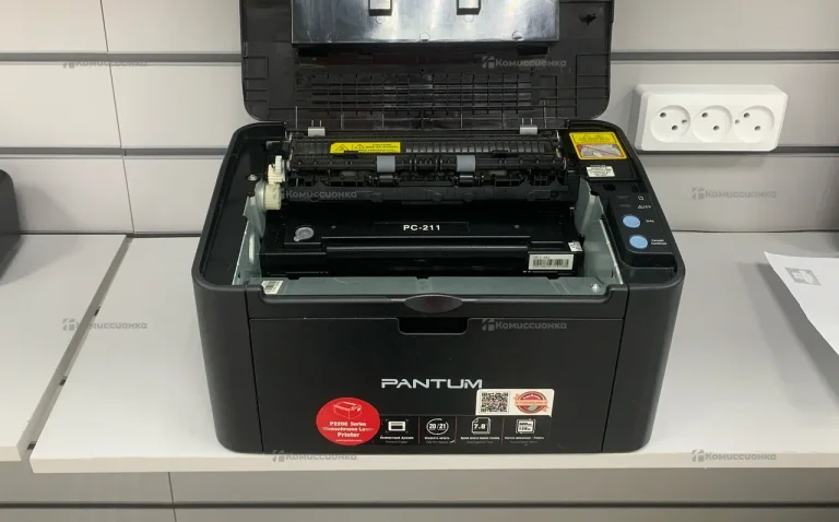 Pantum P2207