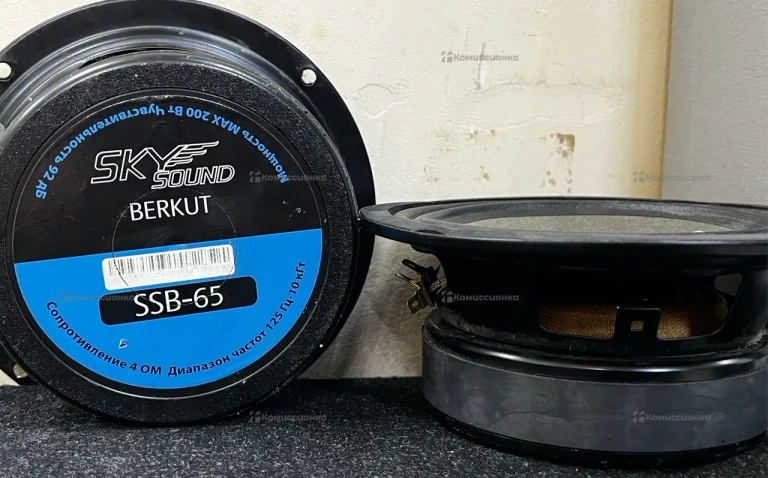 Колонка  SKY SAUND SSN-65