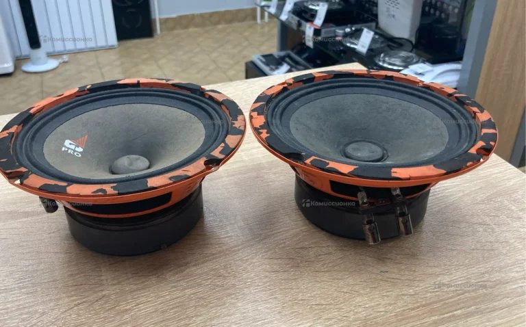 Колонки DL Audio Gryphon Pro 165