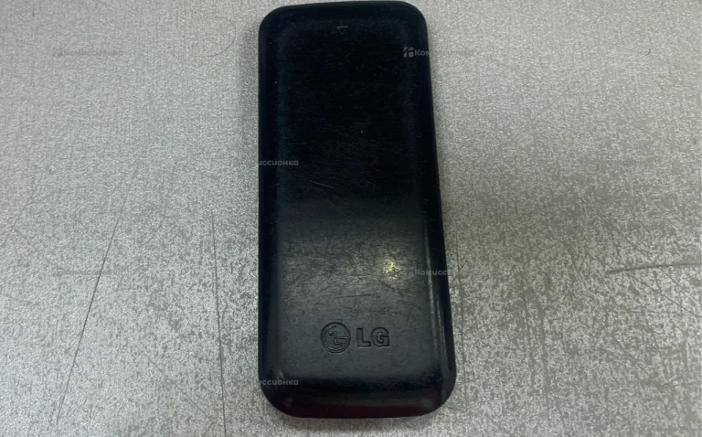 LG GS101