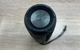 BT Колонка Fiero Fr550