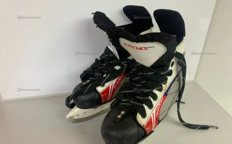 Коньки  Tehno pro