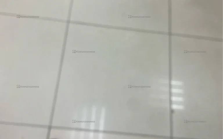 Pasito 2