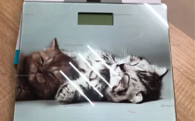 Весы  напольные электронные Dexp SCL-30P