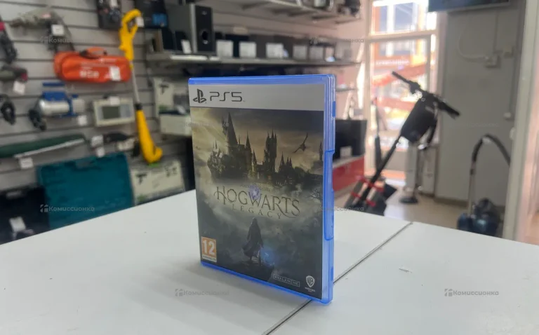 PS5 HOGWARTS LEGACY