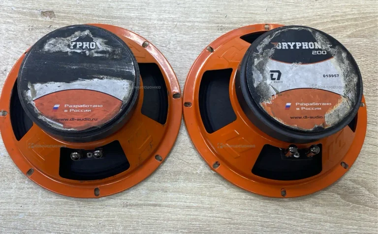 Колонка DL Audio Gryphon Pro 200