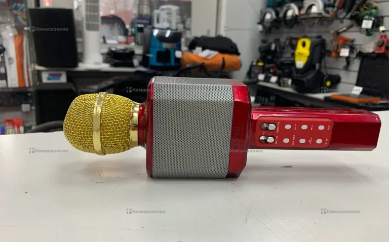 микрафон WSTER WS-1828