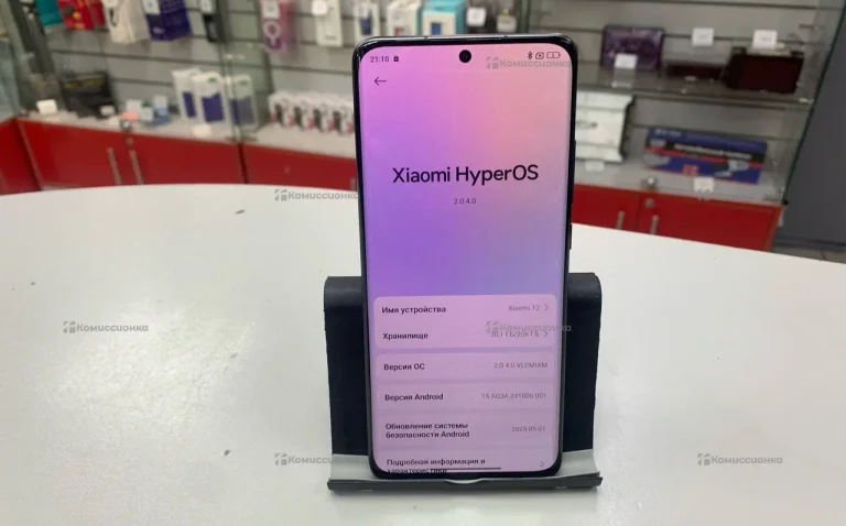Xiaomi 12/256
