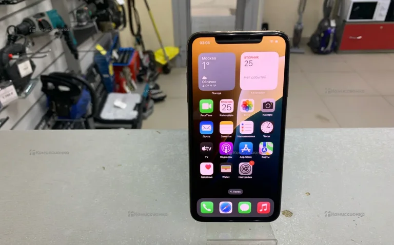Apple iPhone XS Max 4/256 ГБ