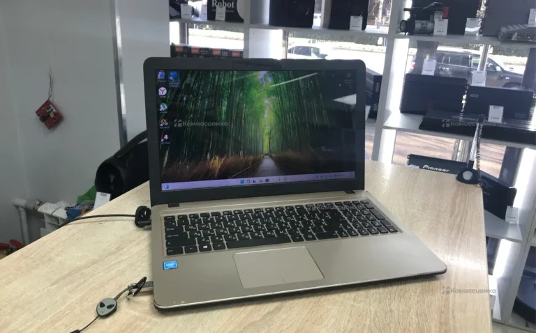 Ноутбук  ASUS X530SA