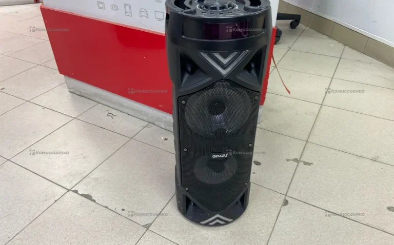 Колонка  Ginzzu