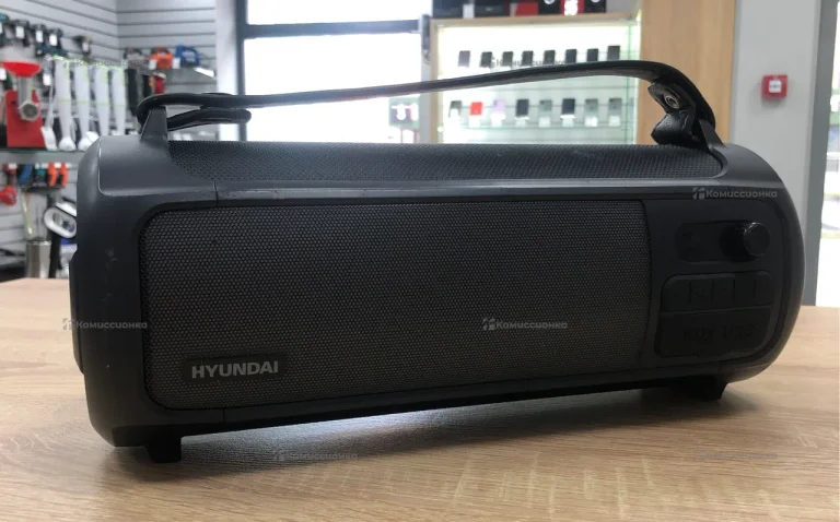Колонка Hundai H-PS1025