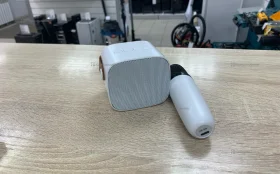 Колонка с микрофоном