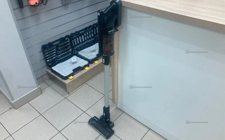 Пылесос  Gorenje SVS252FMBK