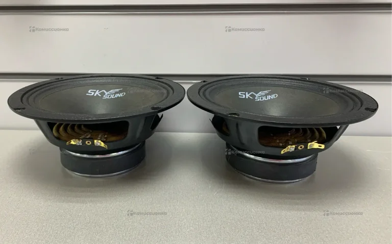 Колонки Sky sound colibri