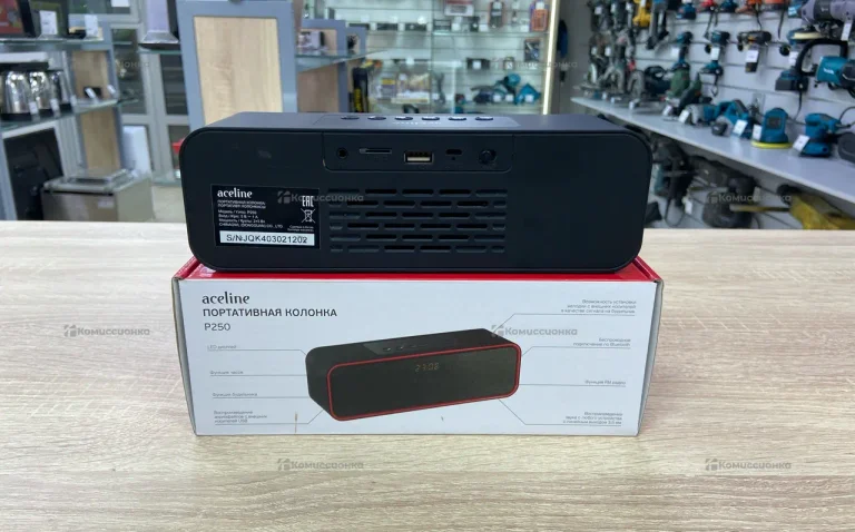Портативная колонка Aceline P250