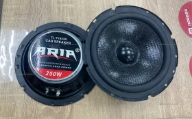 Купить Колонки aria tl-t1653n б/у , в Самара Цена:1200рублей