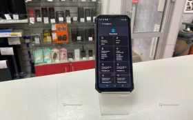 Oukitel WP21 12/256 ГБ