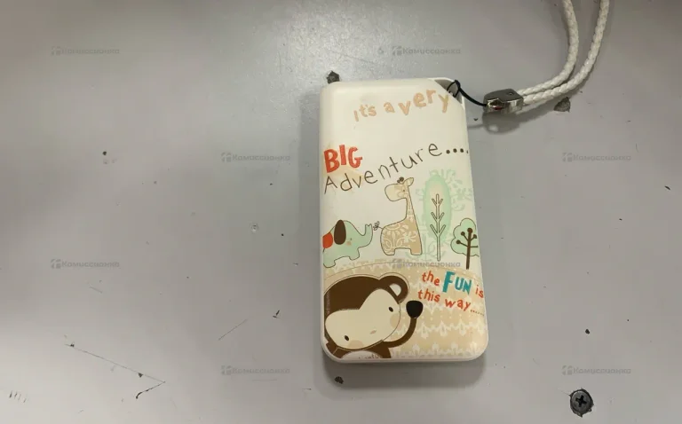 Power Bank Adventure 10000