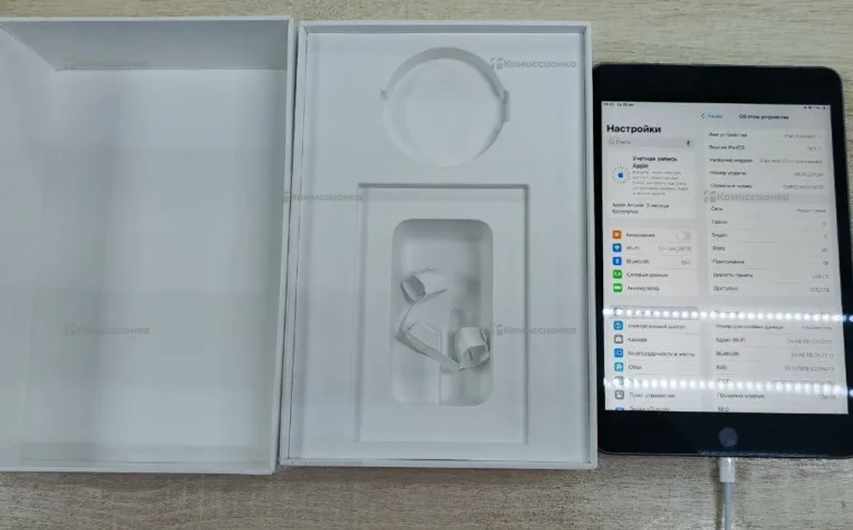 Apple iPad mini 5го поколения 256