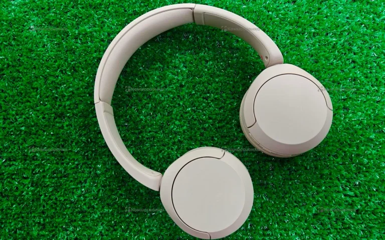 Наушники Sony WH-CH520