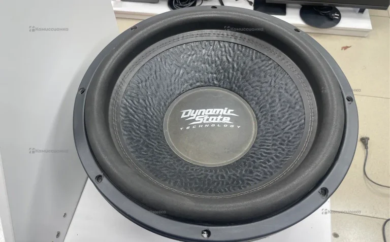 Сабвуфер  custom case 38-22Hr