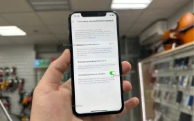 Apple iPhone X 3/256 ГБ