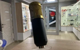 Купить Микрофон Zeepin б/у , в Пенза Цена:450рублей