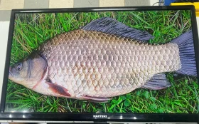 Телевизор HARTENS HTV-24HDR06B-HC22