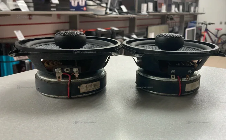 Динамики Skylor EV05