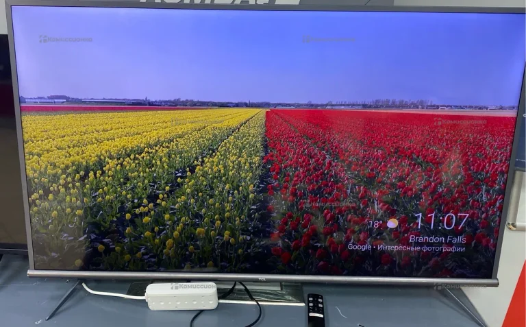 Телевизор TCL l50p8mus