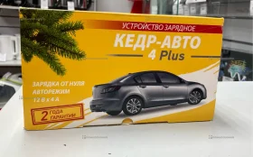 Зарядное устройство Кедр-авто 4 Plus