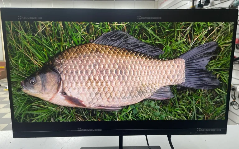 Монитор Digma Progress 22A501F