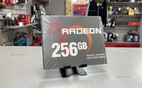 SSD RADEON 256GB