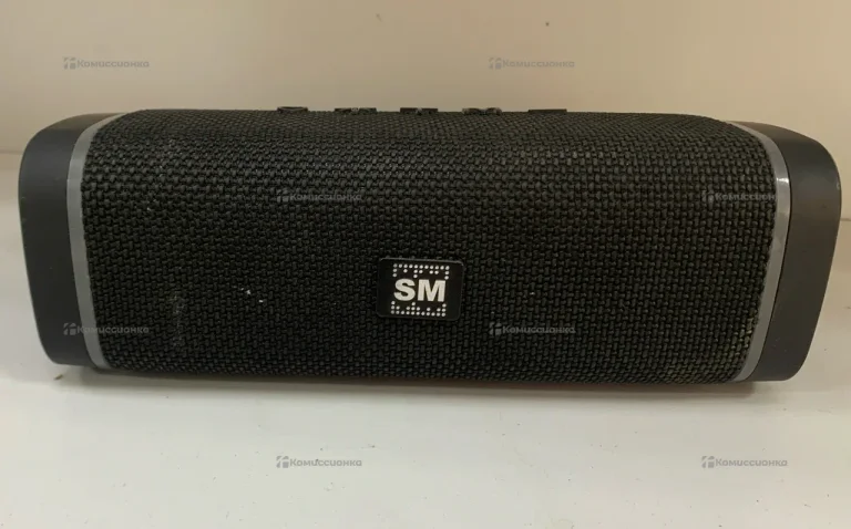 Колонка SoundMax SM/PS5019B