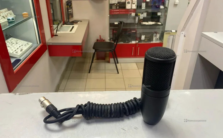 Микрофон AKG P-120